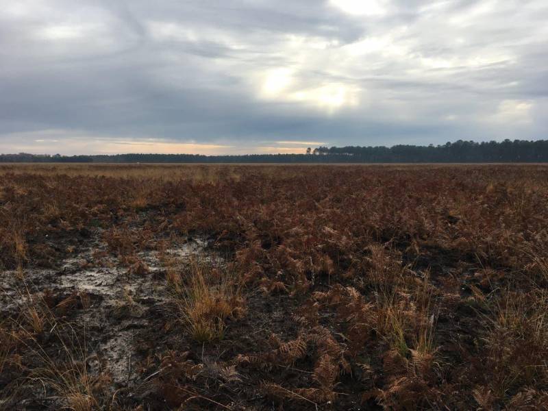 CERAG - Etude zones humides Gironde